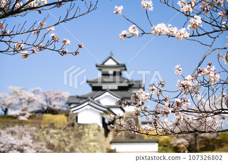 福島縣白河市的櫻花盛開和小峰城 107326802