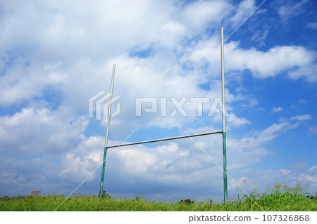Rugby goal Rugby goal 107326868