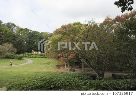 Kanagawa Prefectural Park Shiki no Mori (Autumn/October) Kanagawa Prefectural Park Shiki no Mori (Autumn/October) 107326917