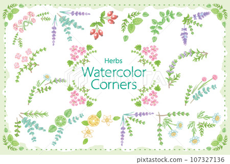 Illustrations of herbs and plants used for aroma. You can make a frame. vector material 107327136