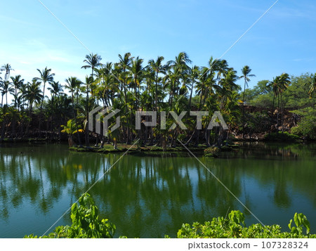 Hawaii Island Mauna Lani Fish Pond Hawaii Island Mauna Lani Fish Pond 107328324