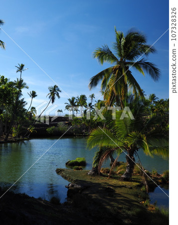 夏威夷島莫納拉尼魚池 107328326