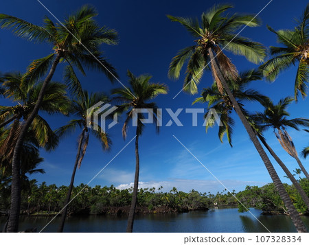 夏威夷島莫納拉尼魚池 107328334