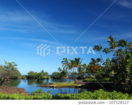Hawaii Island Mauna Lani Fish Pond Hawaii Island Mauna Lani Fish Pond 107328527