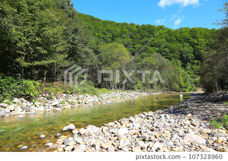 Anmon River in Shirakami Mountains, a World Natural Heritage Site 107328960