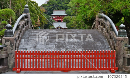 Main shrine seen from Taikobashi Bridge of Tsurugaoka Hachimangu Shrine in Kamakura in December in autumn 107329245