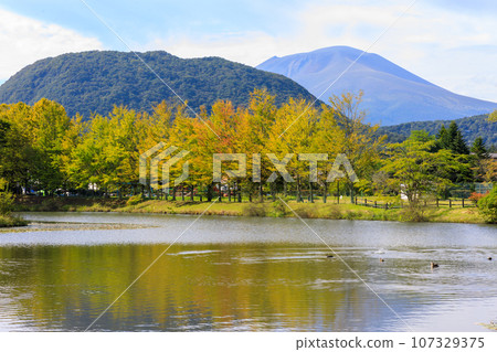 The scenery of Yagasaki Park in Karuizawa, where you can feel the arrival of autumn The scenery of Yagasaki Park in Karuizawa, where you can feel the arrival of autumn 107329375