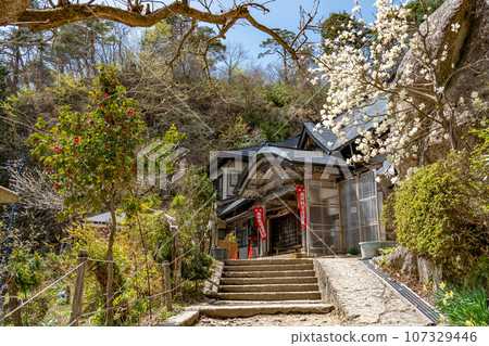 山形縣山形市，立石寺內有觀世音菩薩和白玉蘭的華藏院，俗稱山寺 107329446
