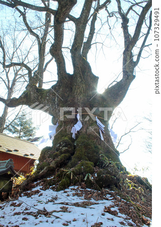 熊野帝國神社 107329491