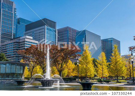 Autumn Tokyo cityscape: Ginkgo trees and office buildings seen from Wadakura Fountain Park 107330244