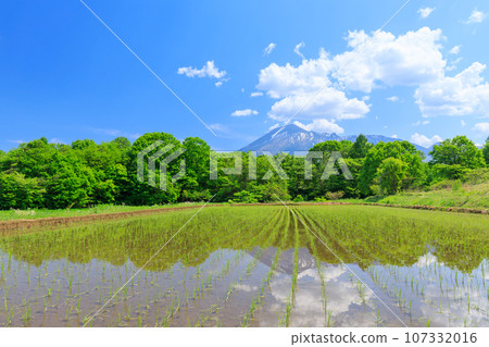 Iwate_Mount Iwate and spectacular countryside views in early summer 107332016