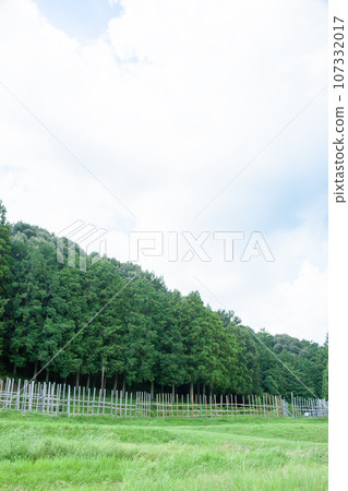 Horse fence (full size) 107332017