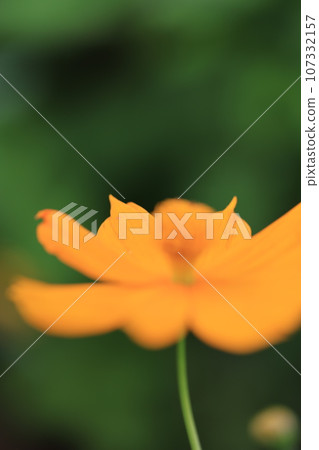 宇宙0178 宇宙0178 107332157