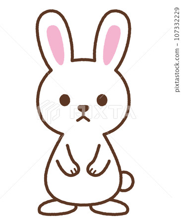 rabbit white rabbit white 107332229