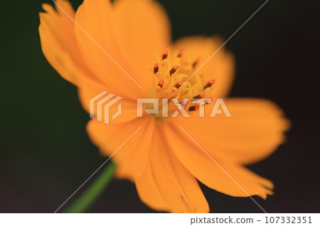 Cosmos 0211 Cosmos 0211 107332351