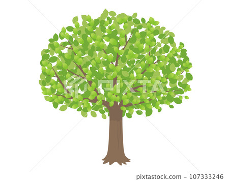 Tree illustration Tree illustration 107333246