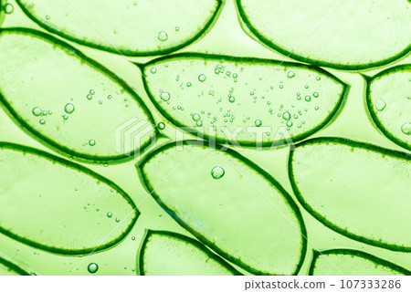 Aloe vera slice texture with gel on green background. Medicinal plant. Flat lay. Top view. Natural herbal medical plant, skincare, healthcare and beauty spa concept. 107333286