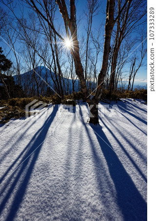The morning sun and Mt. Fuji seen from the Kenashiyama ridgeline and high deck 107333289