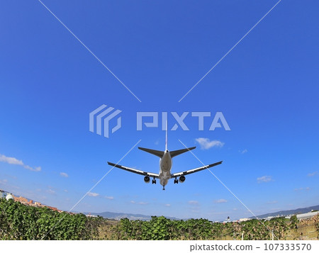 飛機起飛和降落(短距離) 飛機起飛和降落(短距離) 107333570