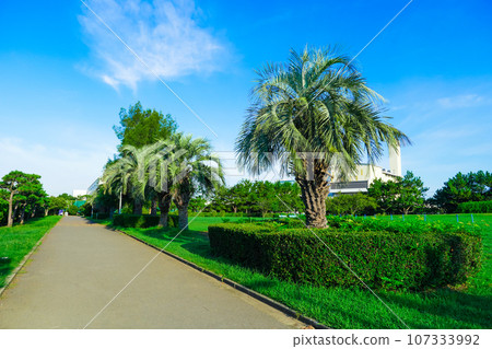 海鳳凰三番瀨海濱公園(千葉縣船橋市) 海鳳凰三番瀨海濱公園(千葉縣船橋市) 107333992