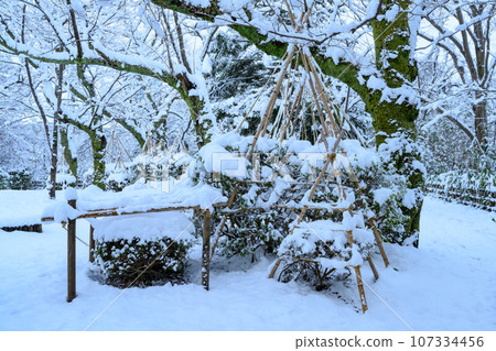A garden with snow 107334456