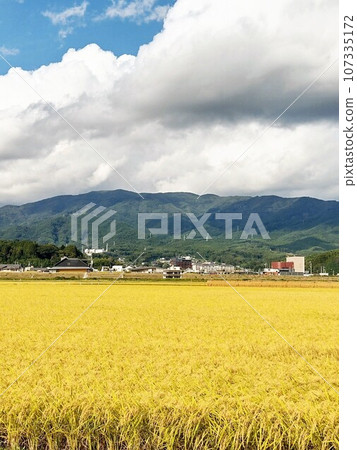 岩手縣陸前高田市、三陸2023年東日本大地震災後重建 岩手縣陸前高田市、三陸2023年東日本大地震災後重建 107335172