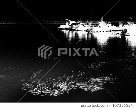 Sea, fishing port, night, fish, sardines Sea, fishing port, night, fish, sardines 107335534