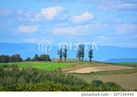 Hill Town 美瑛町 Hill Town 美瑛町 107336449