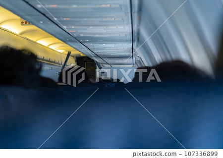 In-flight Resort Heaven Summer Vacation Sightseeing Travel Airplane Morning Summer Boarding/Disembarking Seat Monitor Inbound 107336899