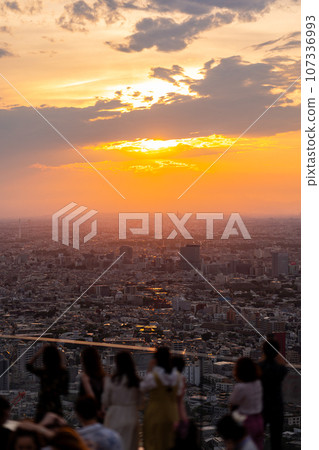 Shibuya Sky Shibuya Date 東京鐵塔 夜空 Downtown Shibuya Scramble Square Woman Back View Sun Sunset Shibuya Sky Shibuya Date 東京鐵塔 夜空 Downtown Shibuya Scramble Square Woman Back View Sun Sunset 107336993