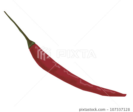 Thai pepper 107337128