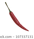 Thai pepper 107337131