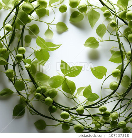 [AI generated image] Fresh green leaves 107337218