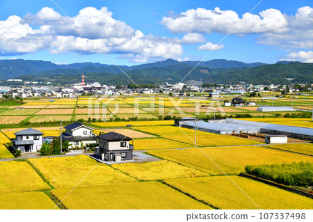 View of the area around Nakagomi Station from Nozawa, Saku City, Nagano Prefecture (Saku City, Nagano Prefecture) [2023.9] 107337498