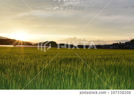 沐浴著夕陽的同時 107338208