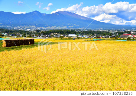 Looking towards Mt. Asama from Negishi, Saku City (Saku City, Nagano Prefecture) [2023.9] 107338255