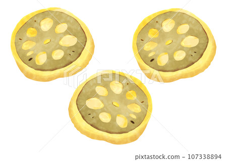 Mustard lotus root Mustard lotus root 107338894