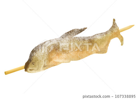 Salt-grilled salmon 107338895