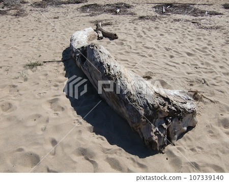 Beach scenery Beach scenery 107339140