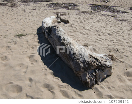 Beach scenery Beach scenery 107339141