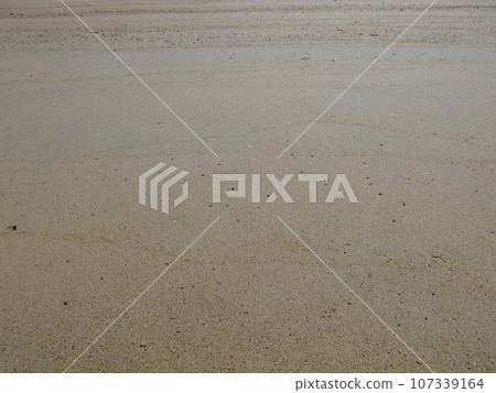 Beach scenery Beach scenery 107339164