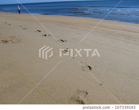 Beach scenery Beach scenery 107339165