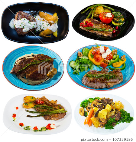 Set of various beef dishes 107339186