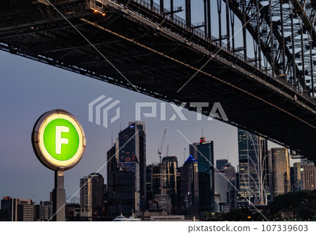 雪梨 雪梨 107339603