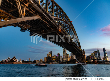 雪梨 雪梨 107339609