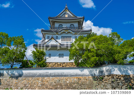 大阪府岸和田市,夏日藍天映襯下的岸和田城 大阪府岸和田市,夏日藍天映襯下的岸和田城 107339869