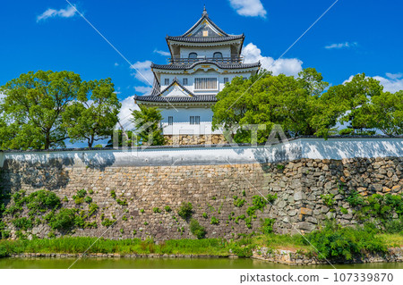 大阪府岸和田市,夏日藍天映襯下的岸和田城 大阪府岸和田市,夏日藍天映襯下的岸和田城 107339870