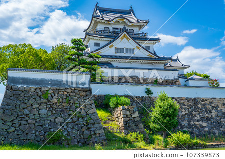 大阪府岸和田市,夏日藍天映襯下的岸和田城 大阪府岸和田市,夏日藍天映襯下的岸和田城 107339873