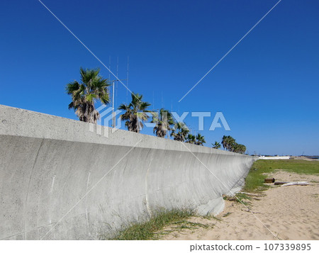 Beach scenery Beach scenery 107339895
