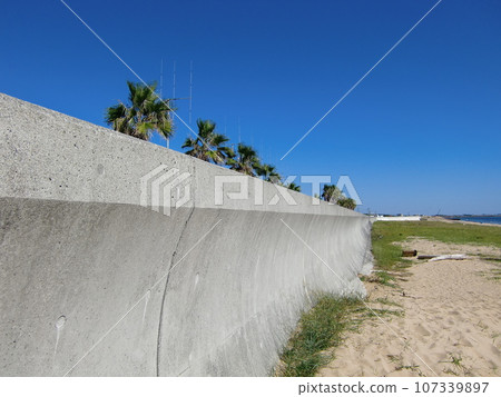 Beach scenery Beach scenery 107339897